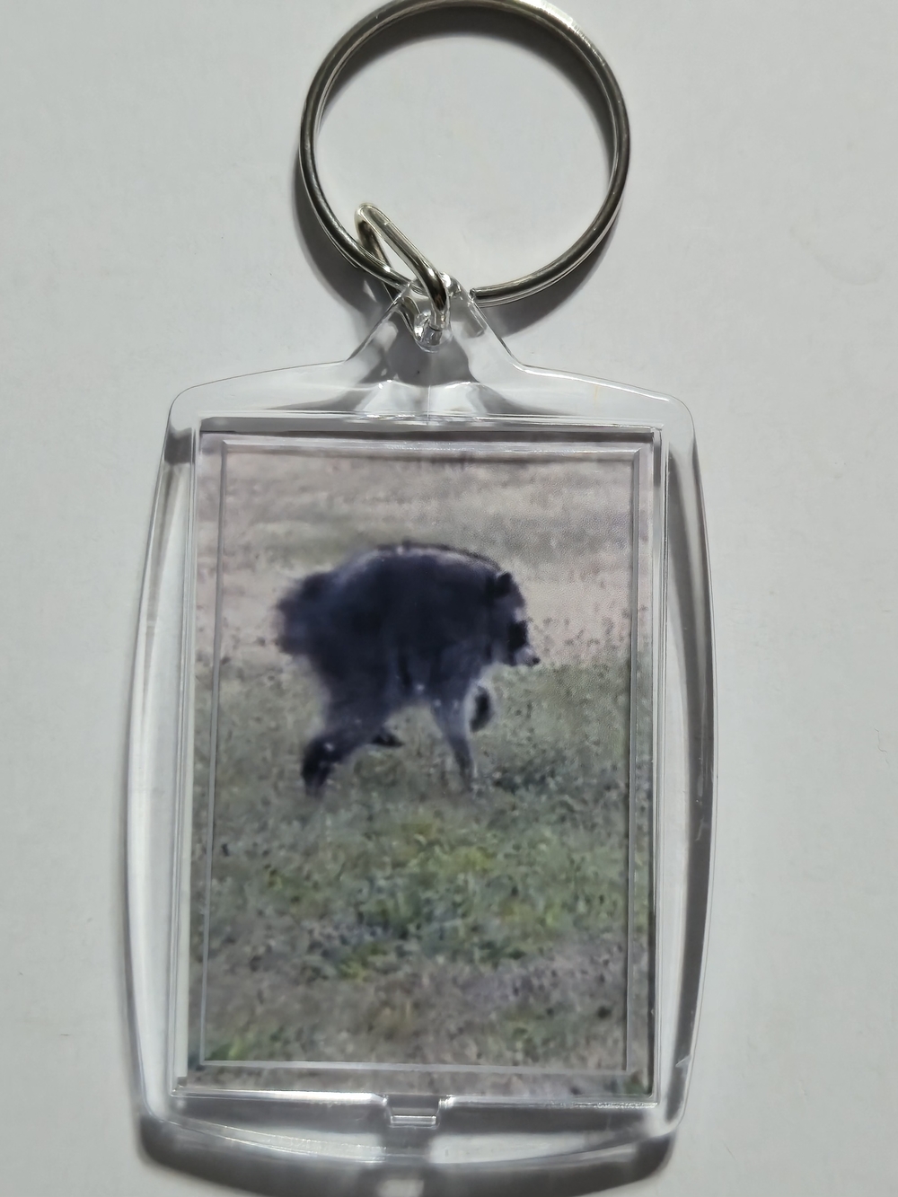 Jimothy The Raccoon Keychain